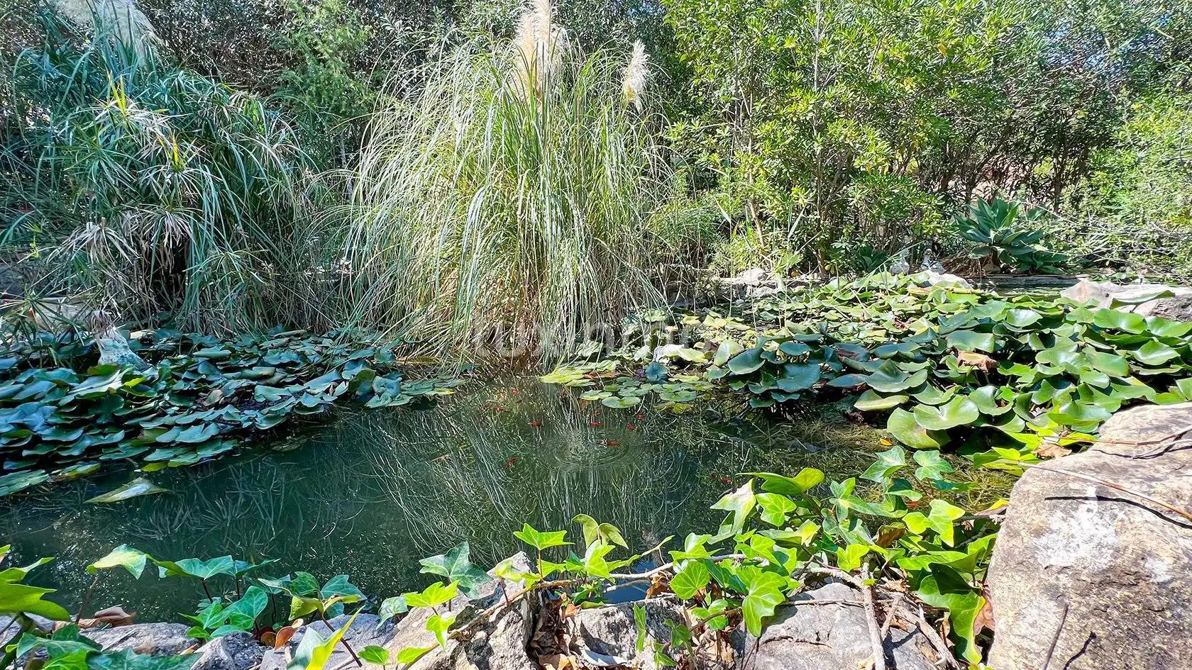 Garden of Houses for sale in Dénia  with Terrace, Storage room and Swimming Pool