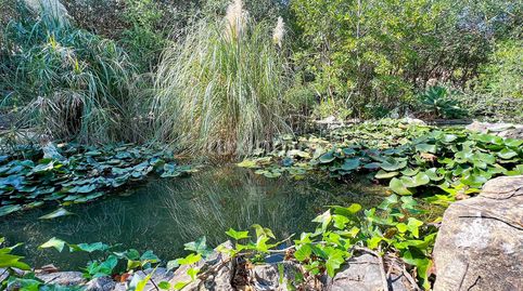 Photo 3 of Houses for sale in El Montgó, Dénia