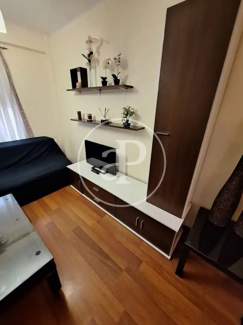 Sala de estar de Piso de alquiler en Valencia con Calefacción, Terraza y Amueblado