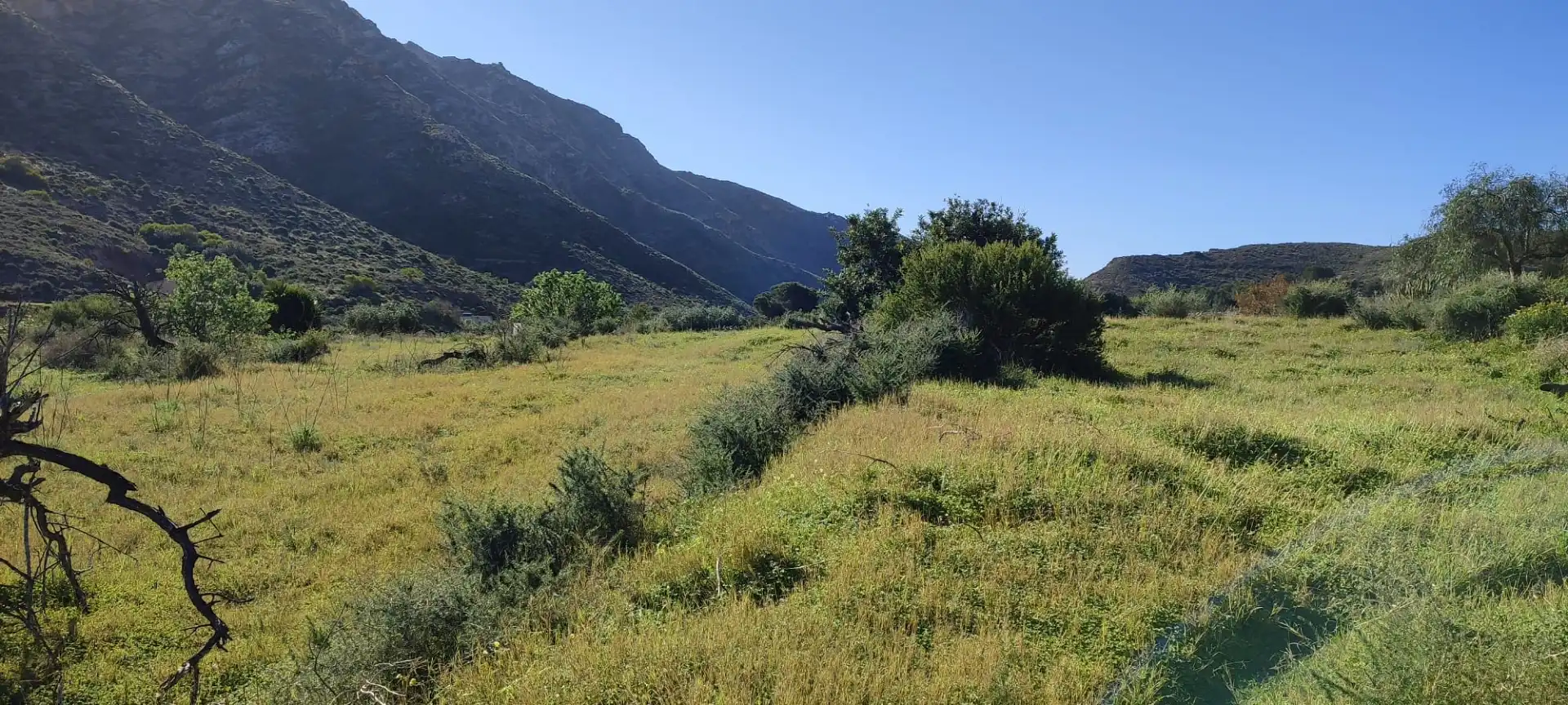 Land for sale in Cartagena