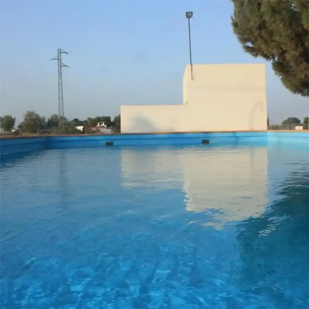 Piscina de Finca rústica en venda en Lebrija amb Aire condicionat, Jardí privat i Traster