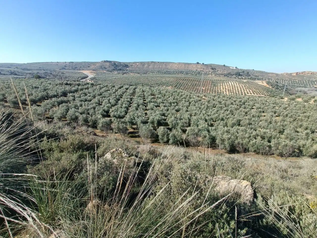 Terreni e lotti in vendita a Moraleda de Zafayona