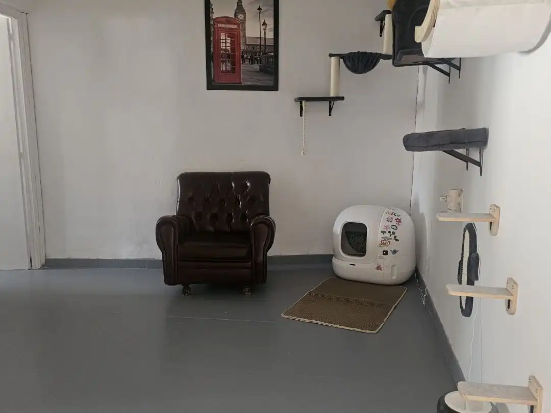 Casa o xalet en venda en Fuente de Pedro Naharro