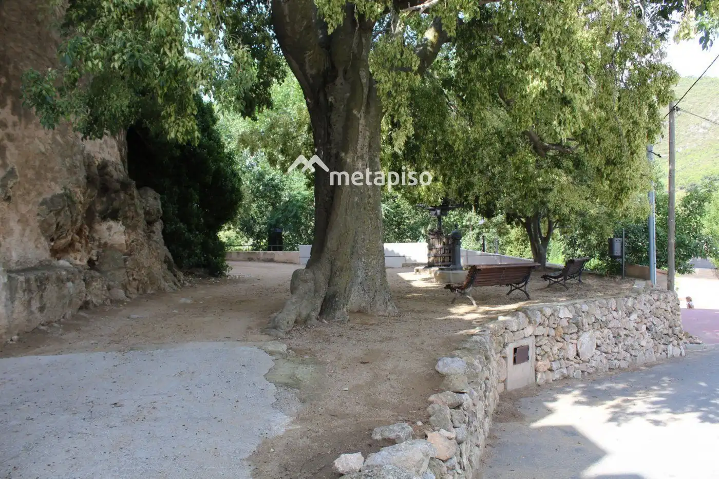 Terreny rústic en venda a esglesia de l', imagen 7