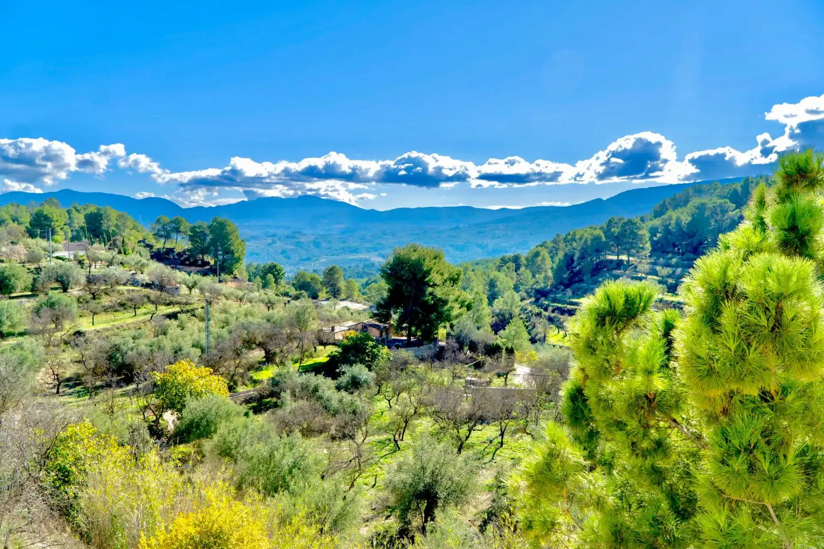 Garden of Houses for sale in Cocentaina  with Heating, Private garden and Parquet flooring