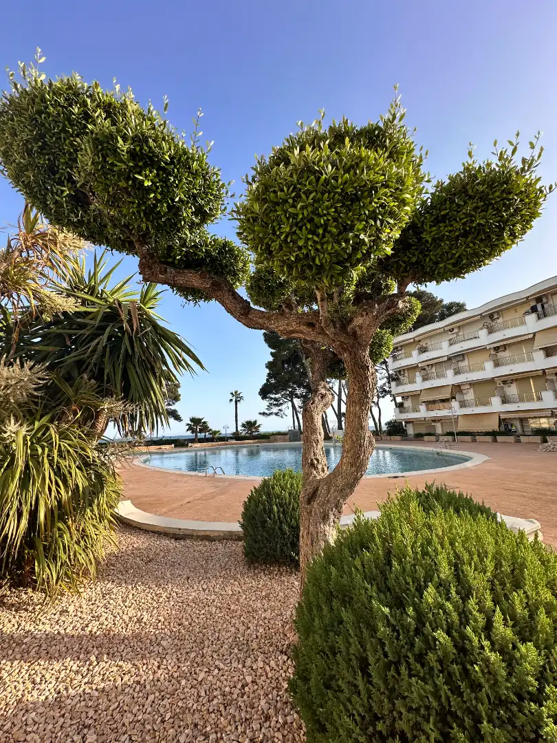 Piscina de Estudi en venda en Cambrils amb Aire condicionat, Calefacció i Terrassa