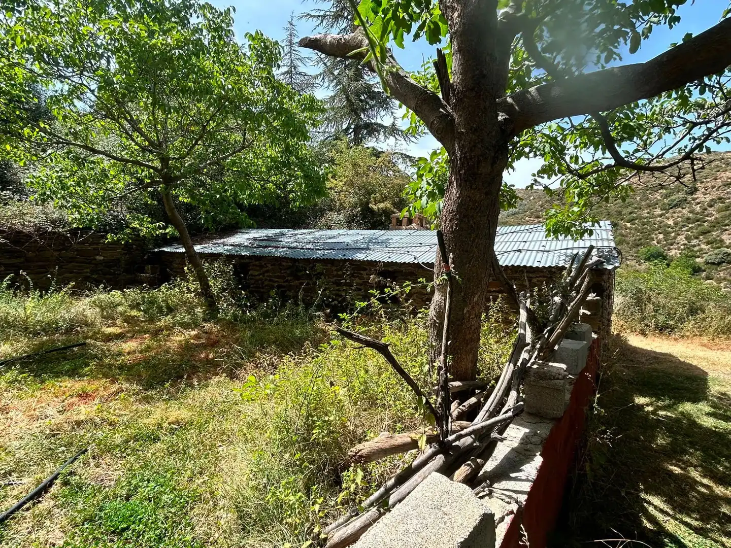 Terreno rústico en venta en Güéjar Sierra, imagen 8