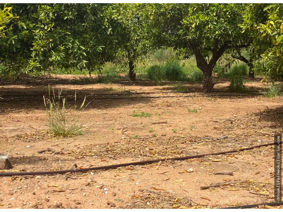 Terrenys i solars en venda a Playa - Ben Afeli, imagen 11