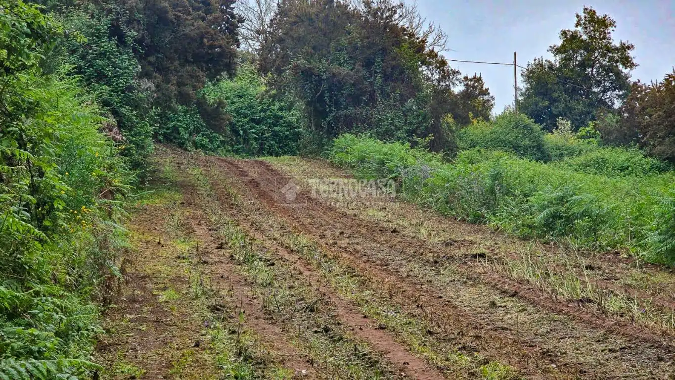 Land for sale in Tacoronte