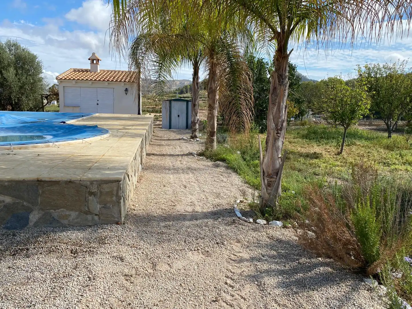 Vista exterior de Finca rústica en venda en Pliego amb Jardí privat, Terrassa i Traster