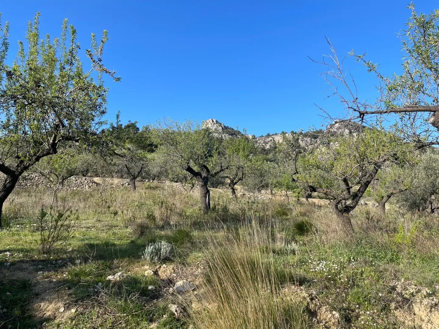 Terrenys i solars en venda a Benifato, imagen 8