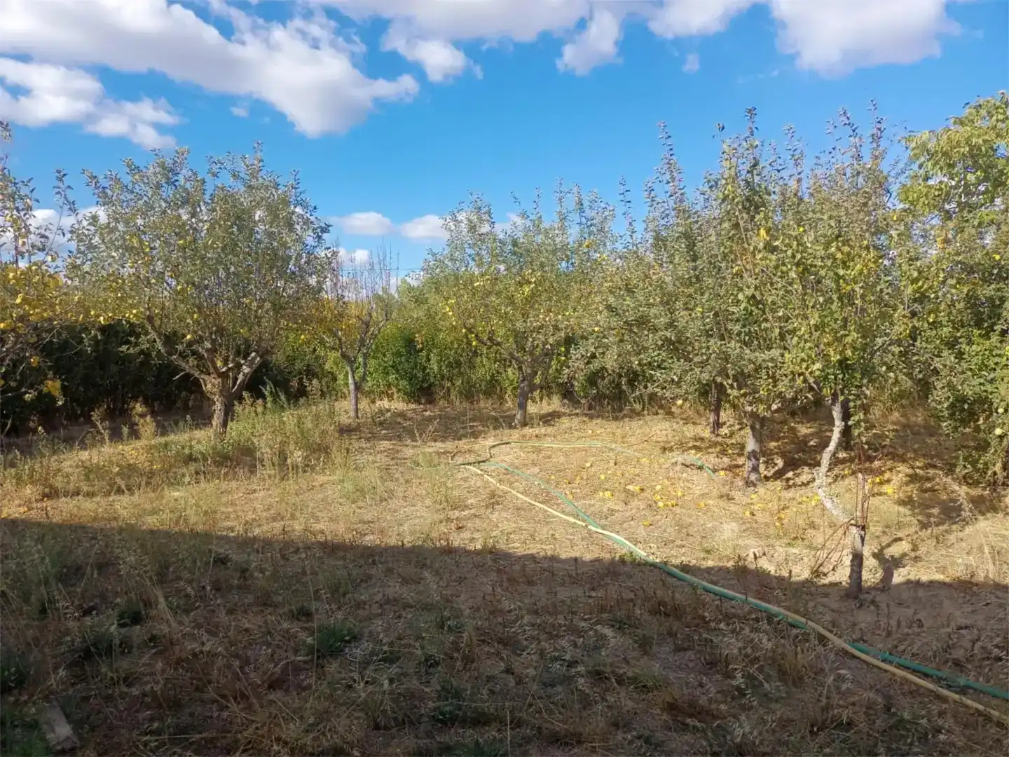 Casa o chalet en venta en Villamontán de la Valduerna con Jardín privado, Trastero y Amueblado
