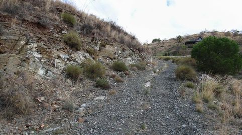 Terreno Cerca del popular pueblo de Monda.