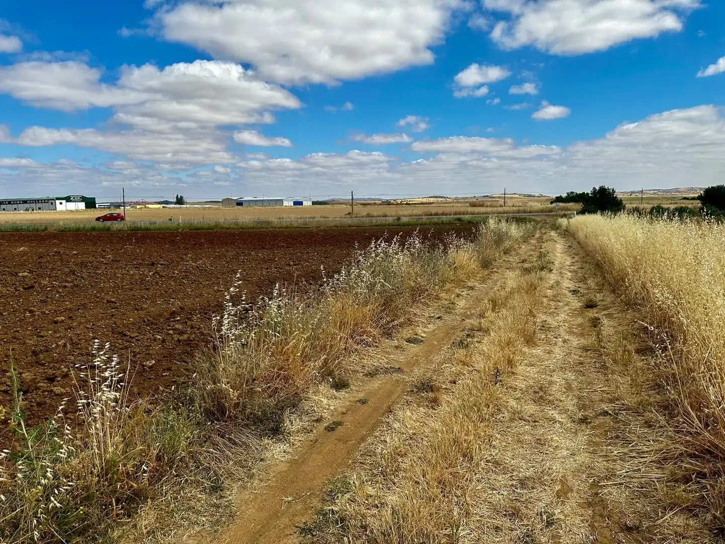 Rural land for sale in Fuente Obejuna, imagen 12
