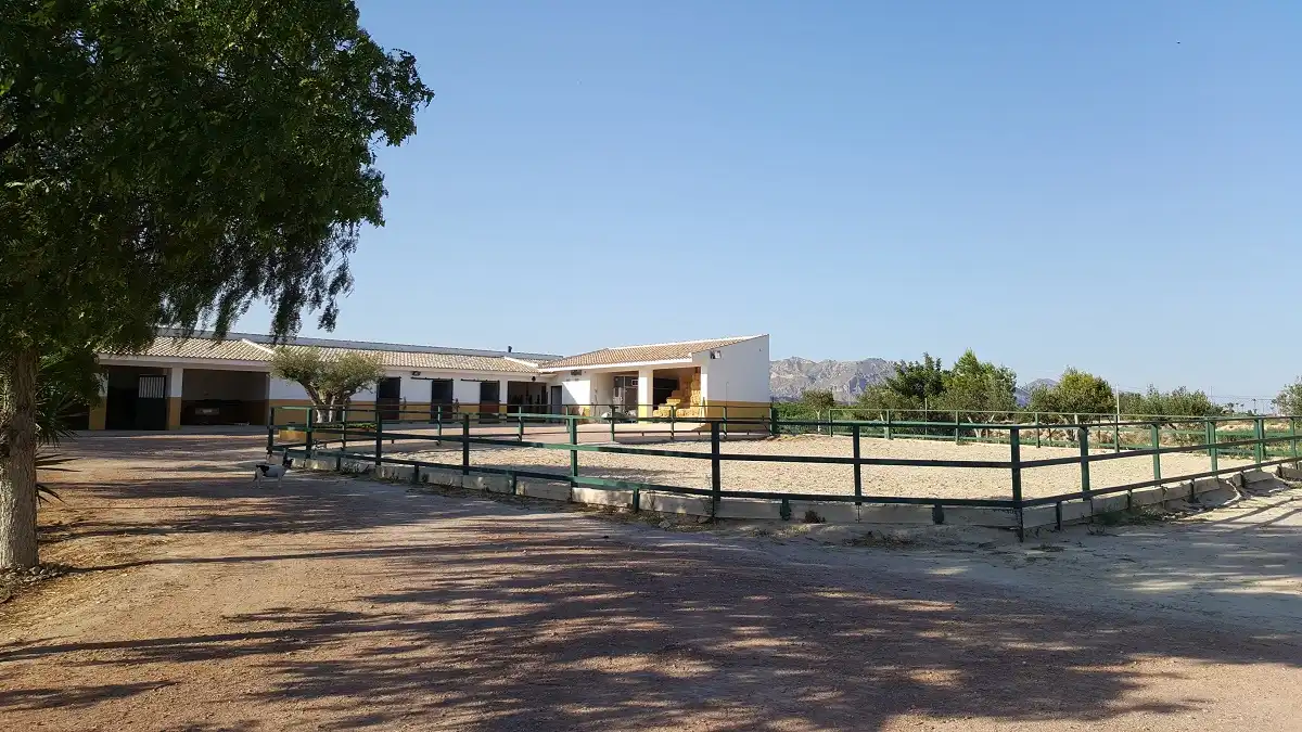 Casa rústica amb piscina en venda a N/A, imagen 38