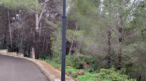 PARCELAS URBANIZACIÓN SAN BERNARDO. URBANIZADAS, imatge 2