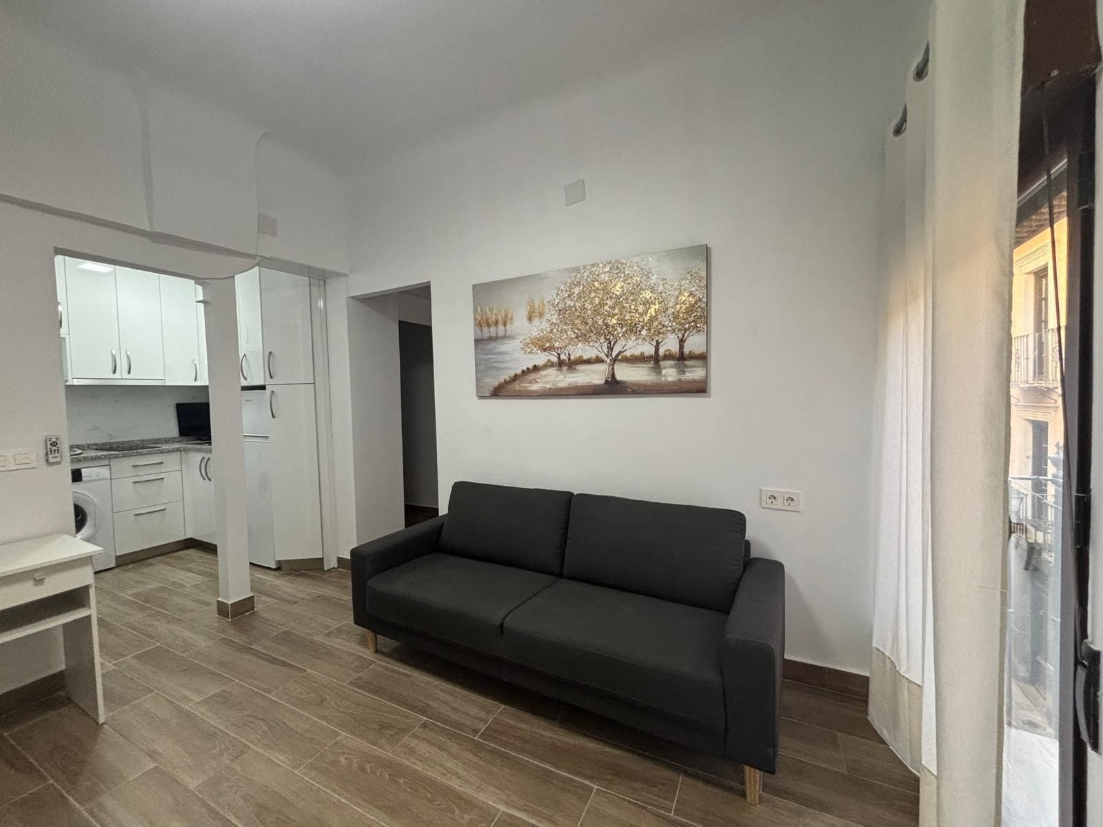 Sala d'estar de Apartament de lloguer en  Granada Capital