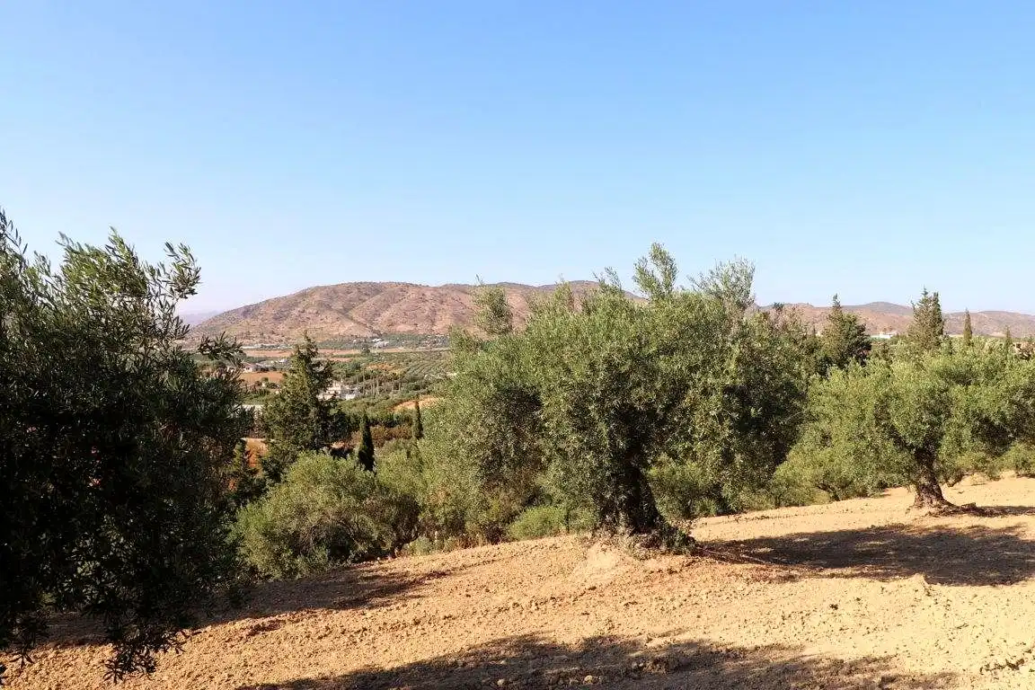 Finca rústica en venta en Alhaurín El Grande