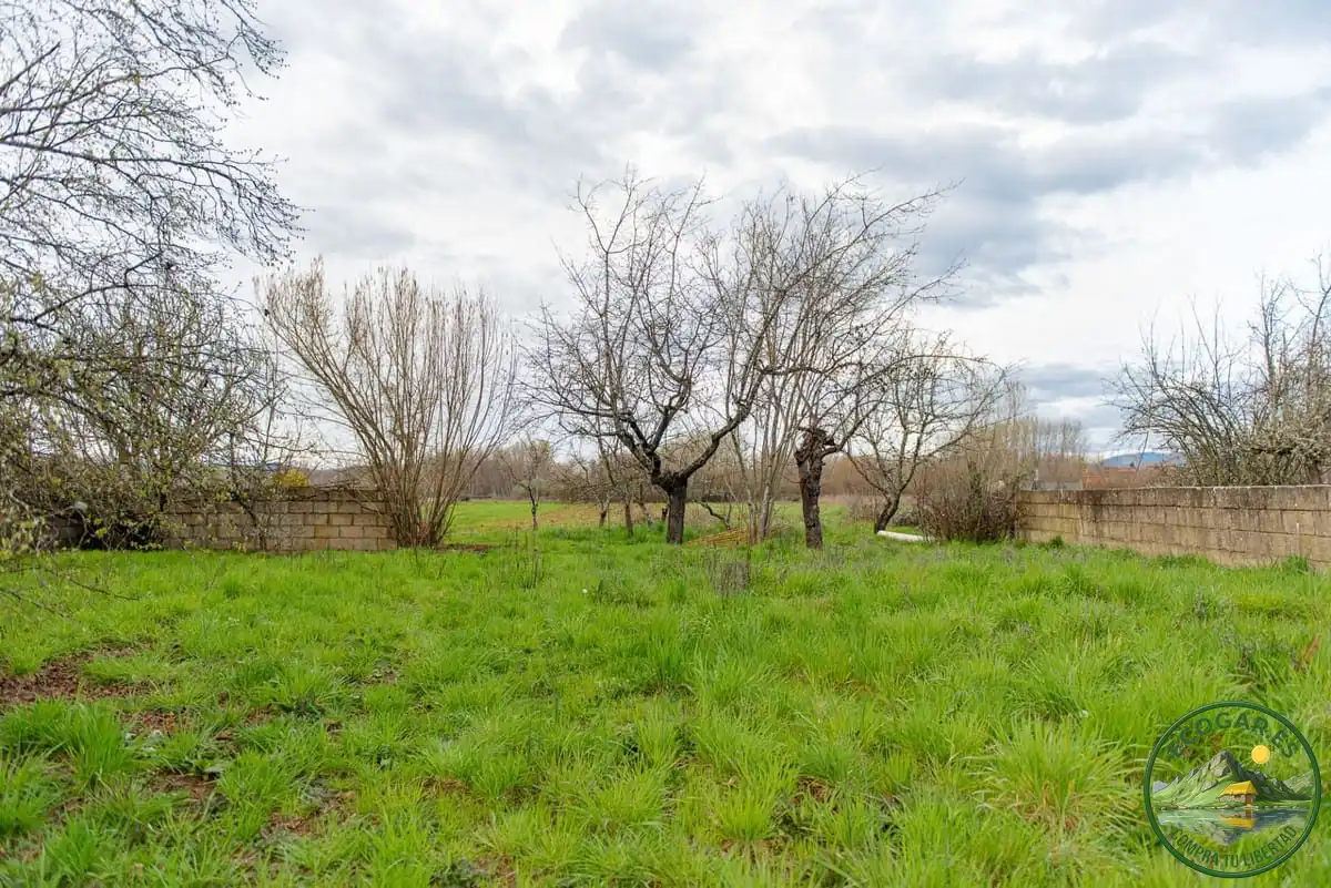 Villa mit Garten zum Verkauf in Cuatro Vientos, imagen 6