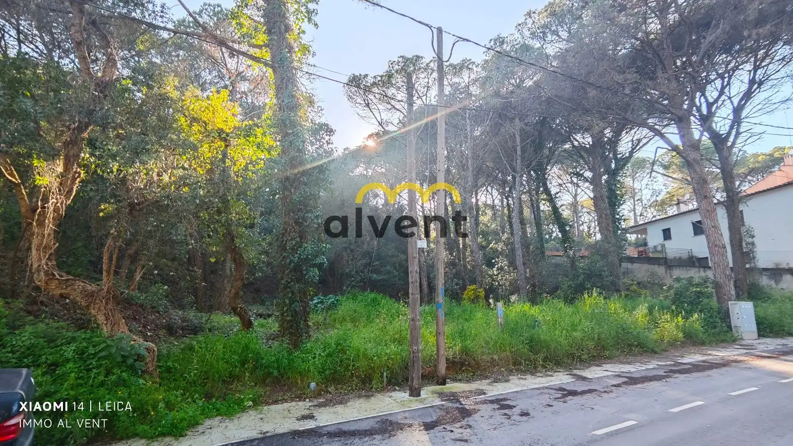 Rural land for sale in Manxa, imagen 31