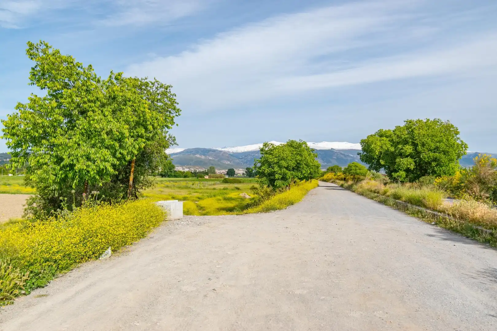 Lands and plots for sale in Polígono 9 Parcela 307 MARACHAT. GRANADA (GRANADA 9, imagen 16