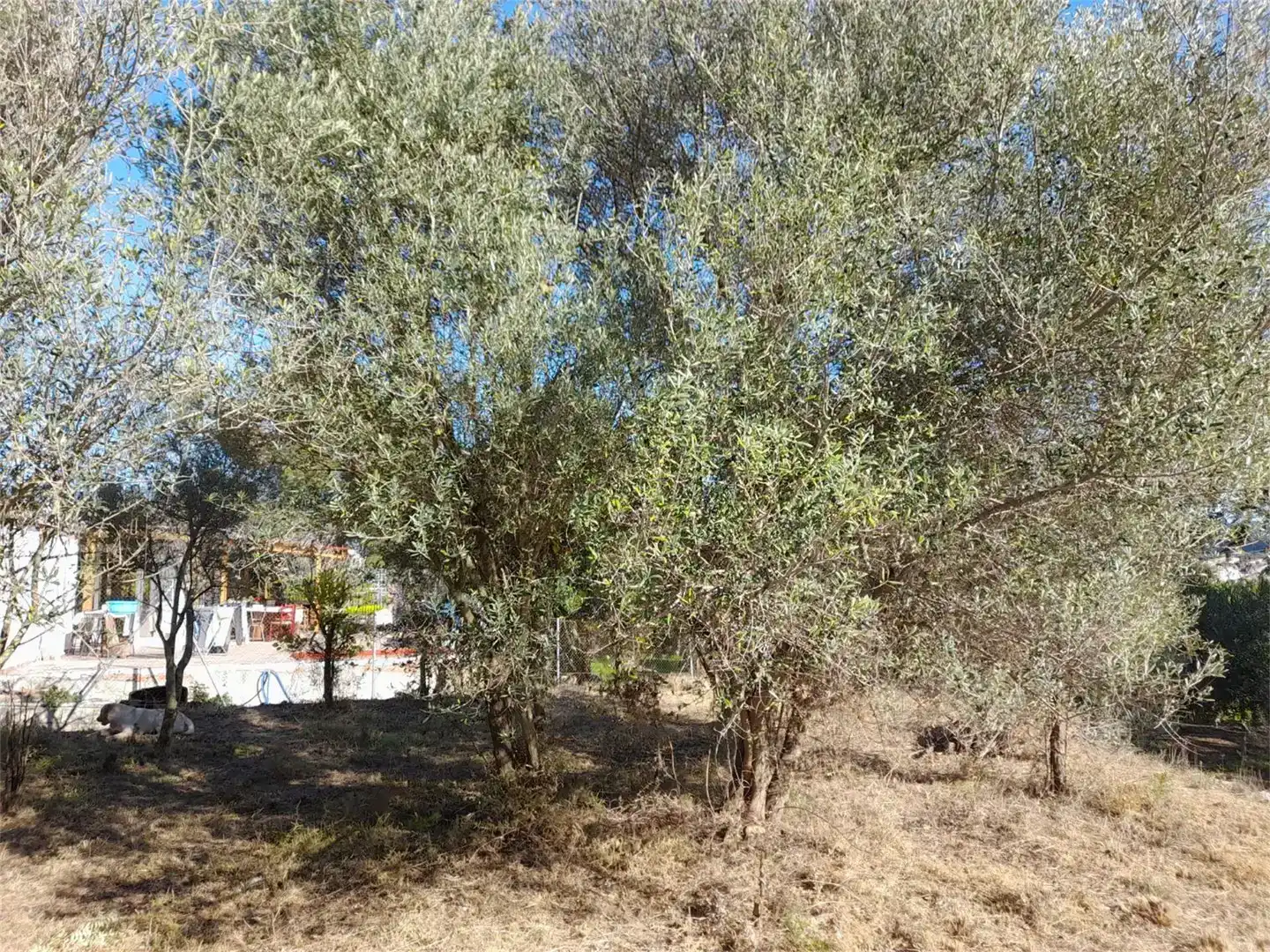 Finca rústica en venda en Llocnou de Sant Jeroni amb Jardí privat, Piscina i Moblat