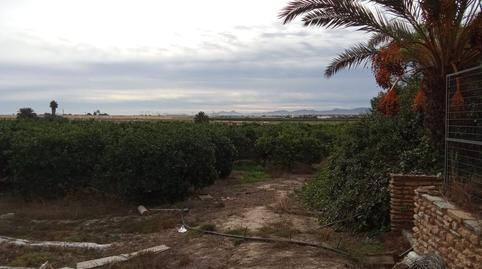 Foto 2 de Finca rústica en venda a Mar Menor Golf, Torre-Pacheco