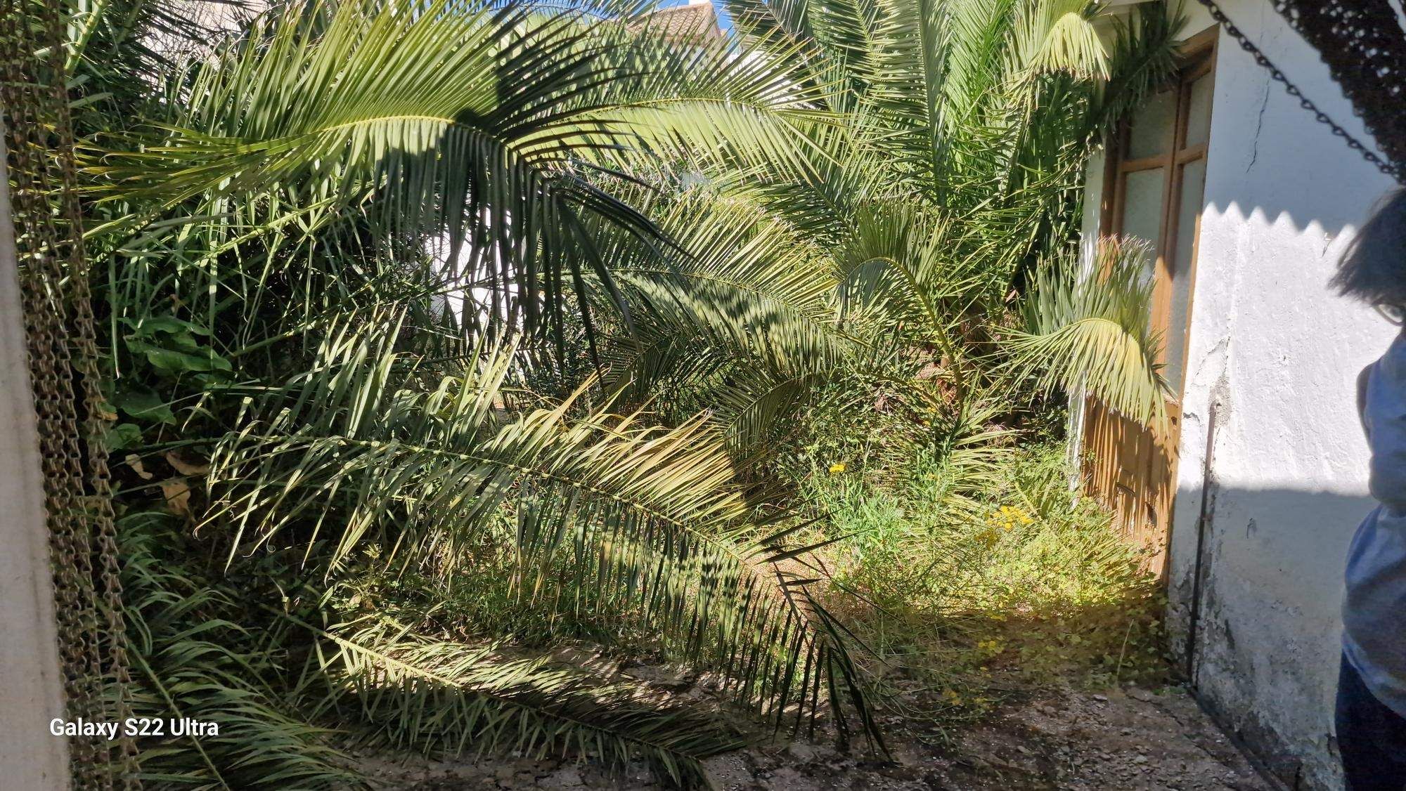 Casa o chalet en venta en Sierra de Yeguas