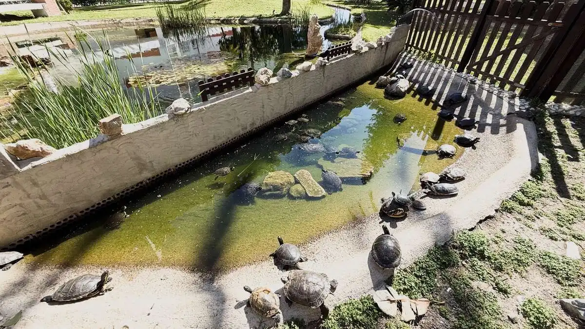 Jardí de Pis en venda en Salobreña amb Terrassa, Moblat i Microones