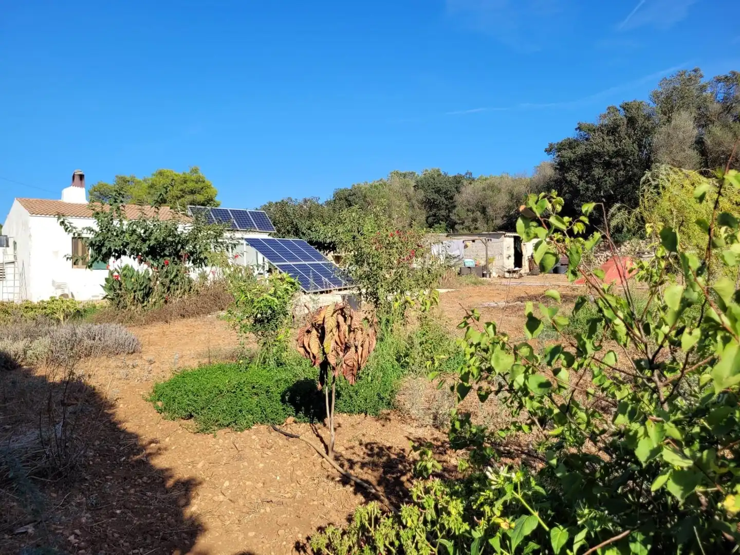 Maison rustique à vendre à Cala Blanca, imagen 26