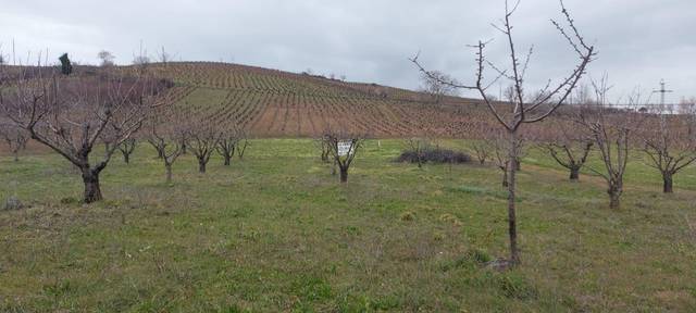 Finca rústica en Venta en Zona Alta