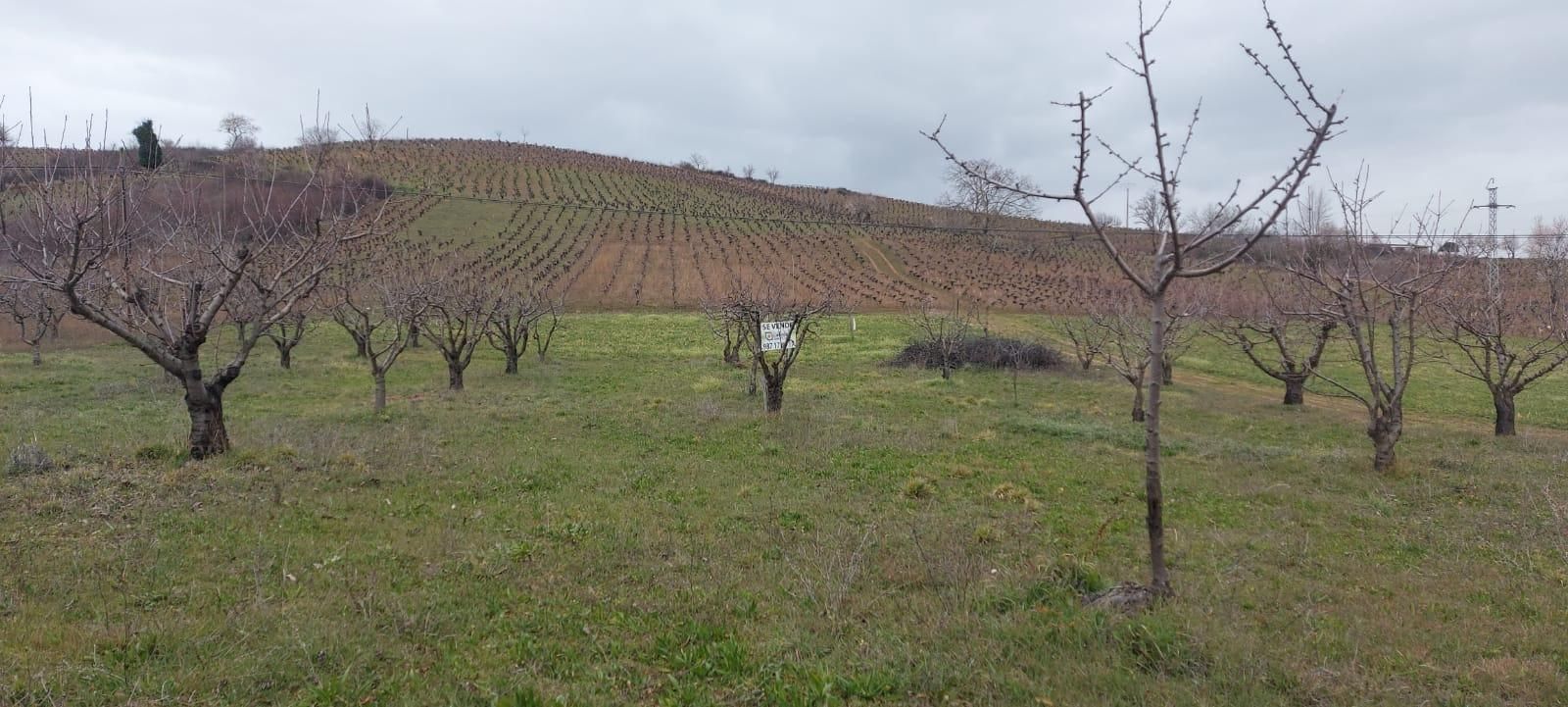Finca rústica en venda en Ponferrada