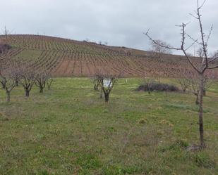 Finca rústica en venda en Ponferrada