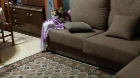 Foto 5 de Apartament per a compartir a L'Illa Perduda,  Valencia Capital