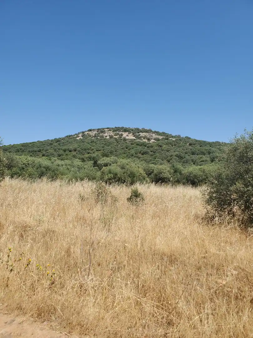 Finca rústica en venta en Área Rural-Valverde-Las Casas