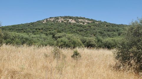 Foto 2 de Finca rústica en venta en Área Rural-Valverde-Las Casas, Ciudad Real Capital