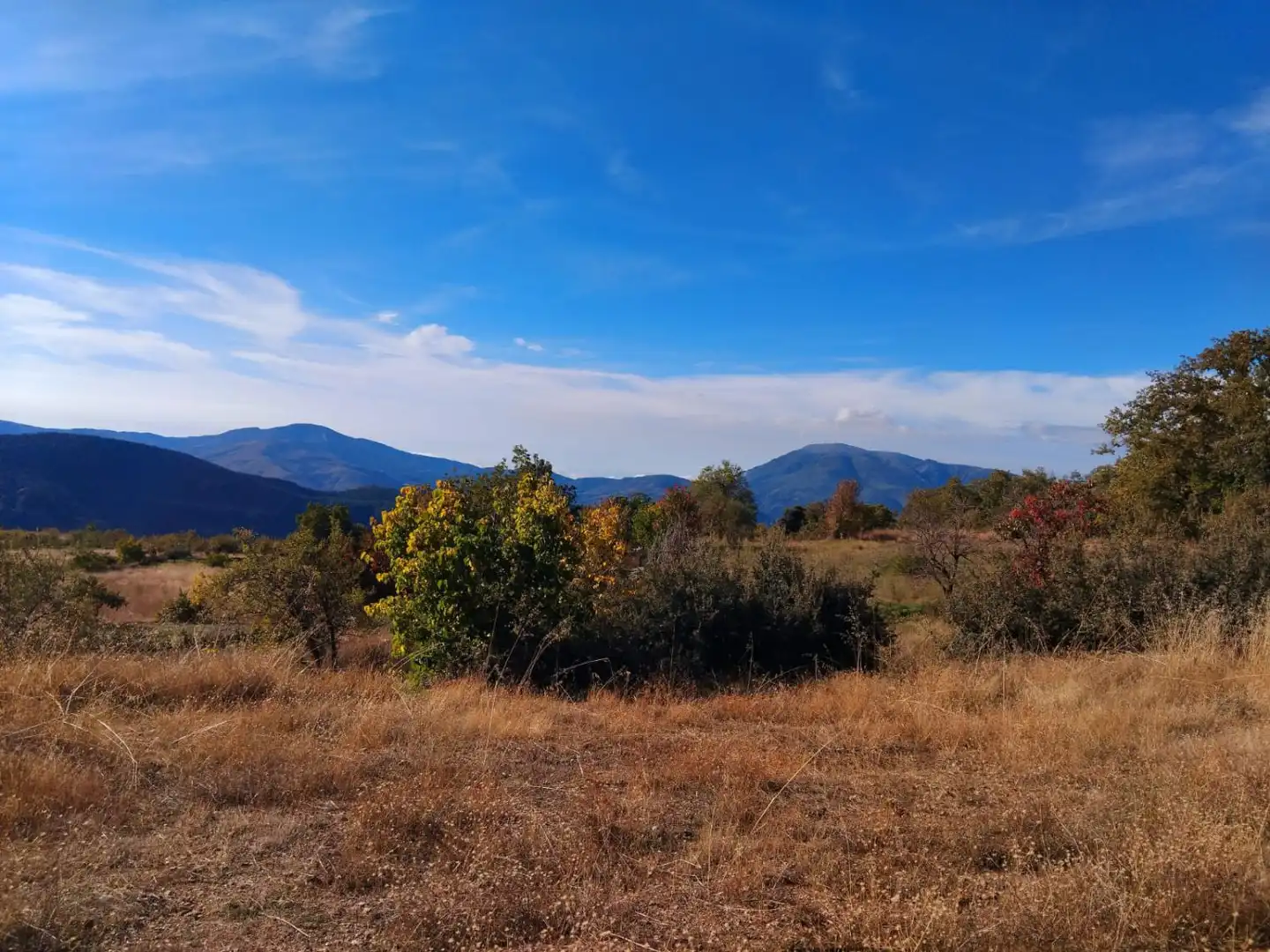 Country homes for sale in Pórtugos