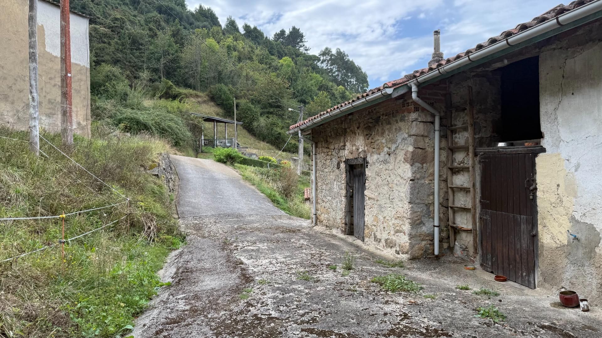 Exterior view of House or chalet for sale in Villaviciosa  with Private garden