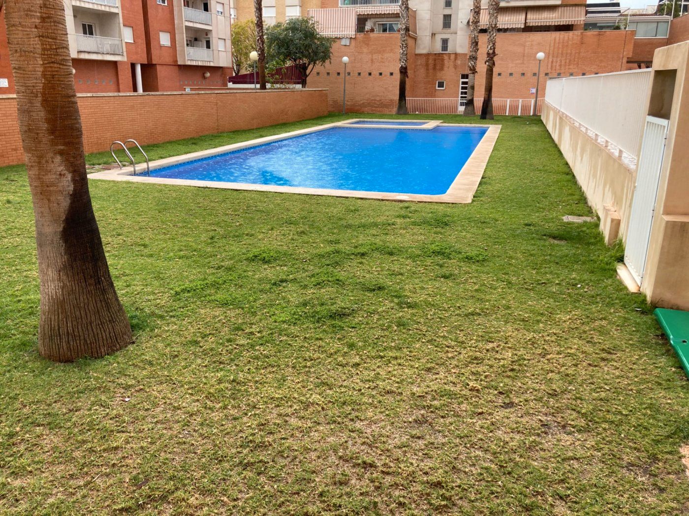 Swimming pool of Flat for sale in Elche / Elx  with Air Conditioner, Terrace and Storage room