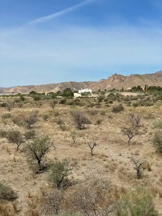 Terrain rustique à vendre à Huércal-Overa