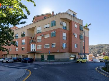 Pis amb ascensor en venda a Genil