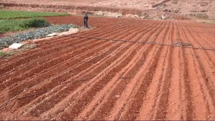 Jardín de Finca rústica en venta en Pájara