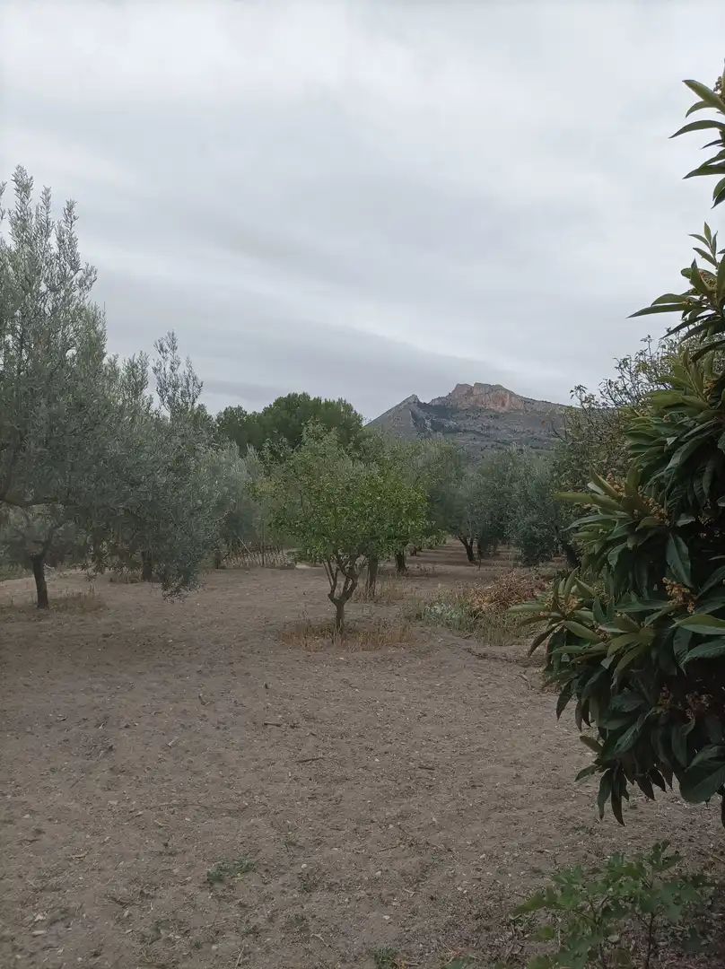 Xalet amb terrassa en venda a Diseminado Sector 2 223, imagen 61