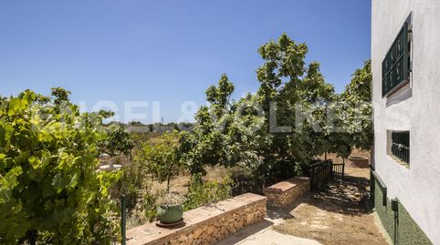 Acogedora Masía con 40.000m2 de terreno a tan solo 1.5Km de la playa., imatge 5