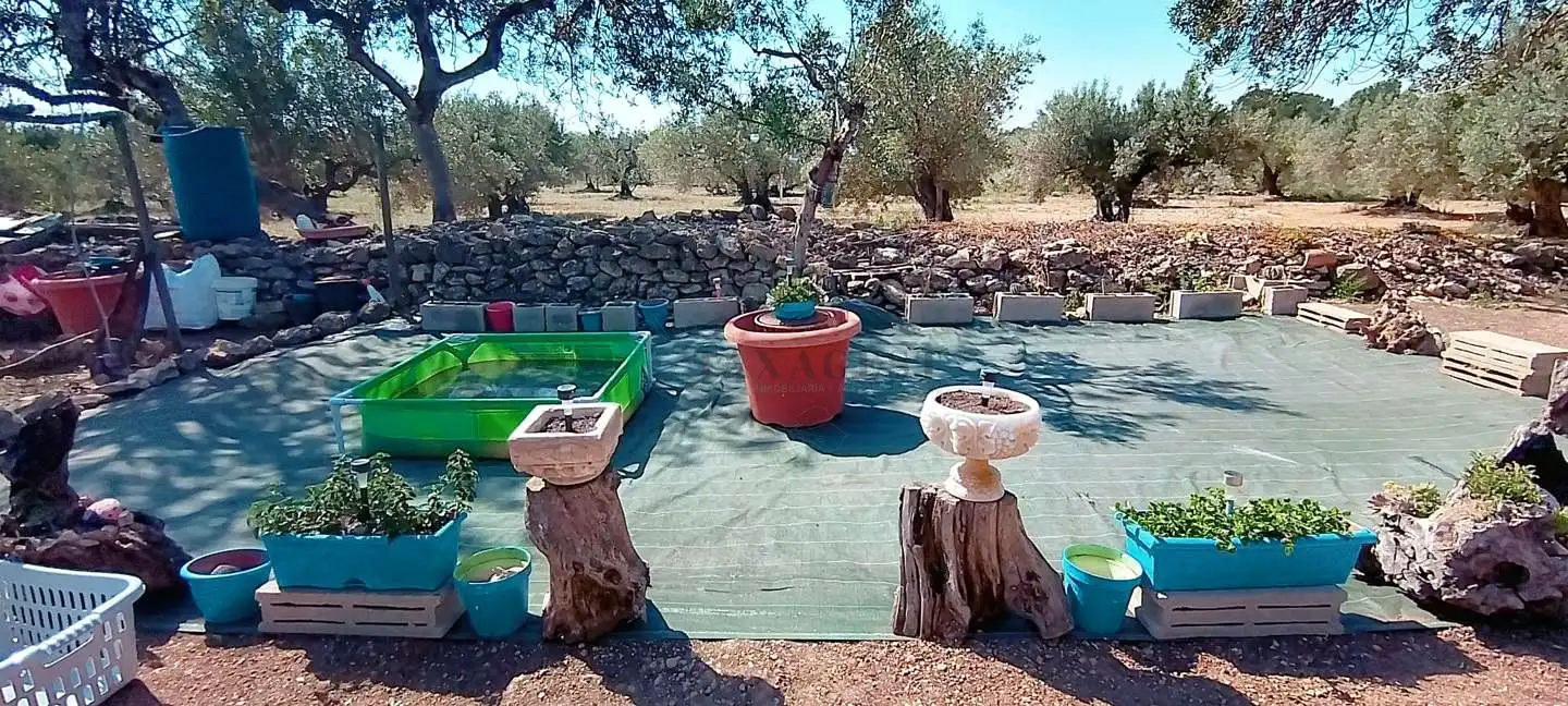 Casa con jardín en venta en Camarles, imagen 41