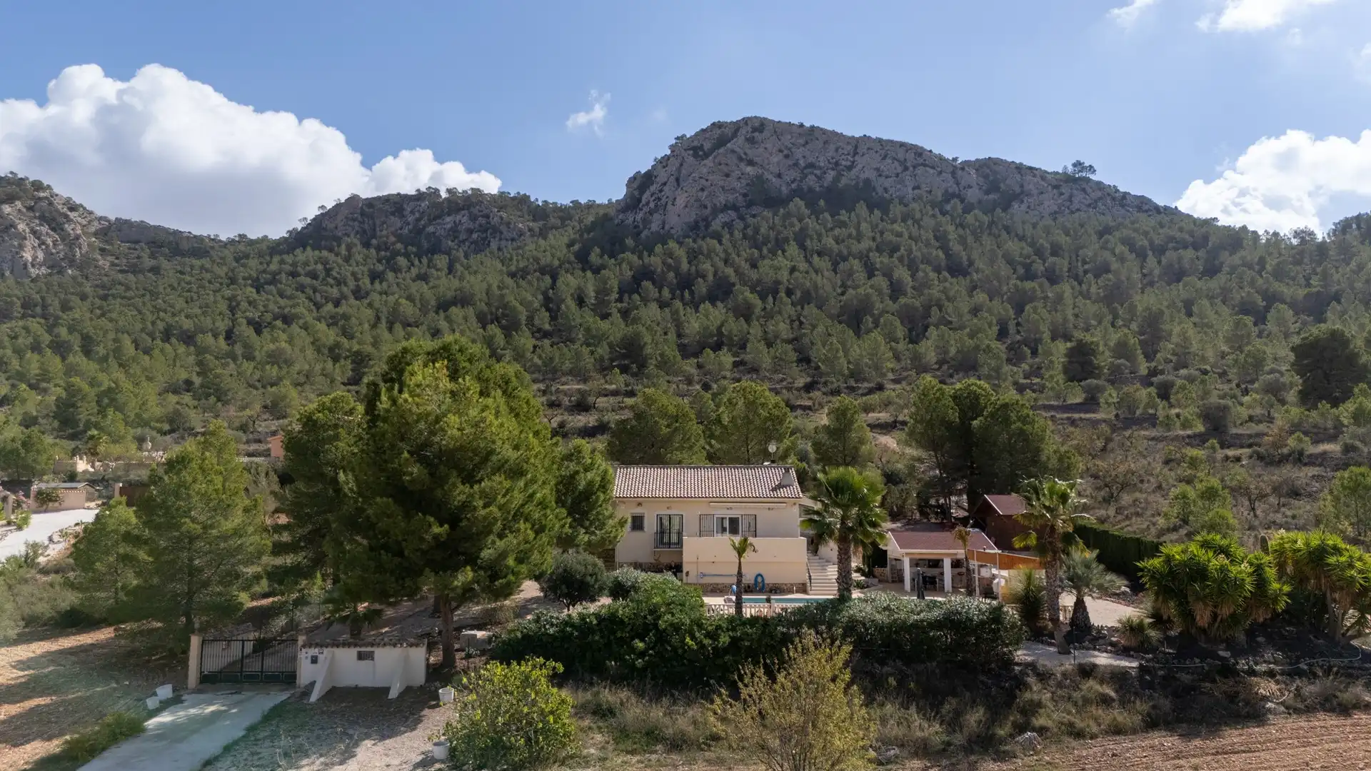 Casa en venta en Jumilla, imagen 40