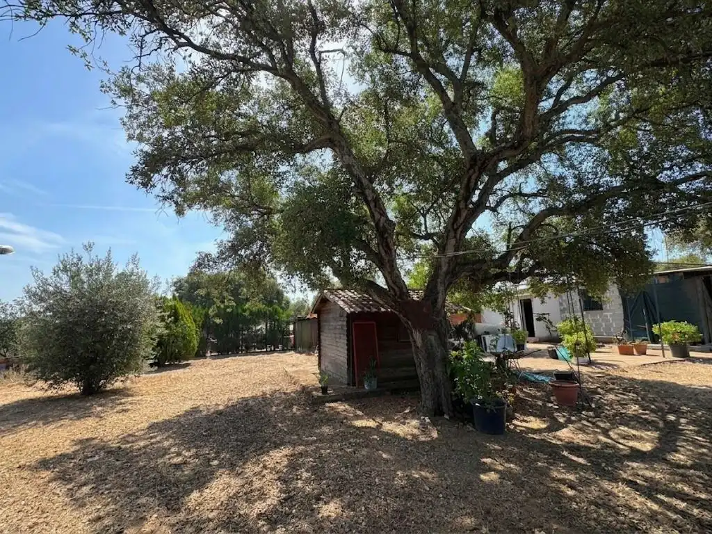Vista exterior de Casa o xalet en venda en Castilblanco de los Arroyos amb Piscina