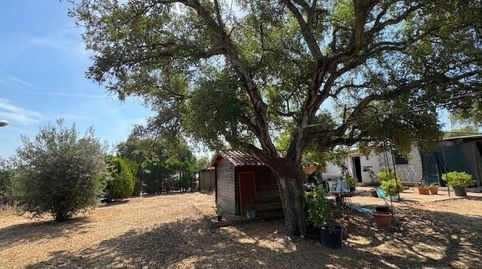 Foto 2 de Casa o xalet en venda a Castilblanco de los Arroyos, Sevilla