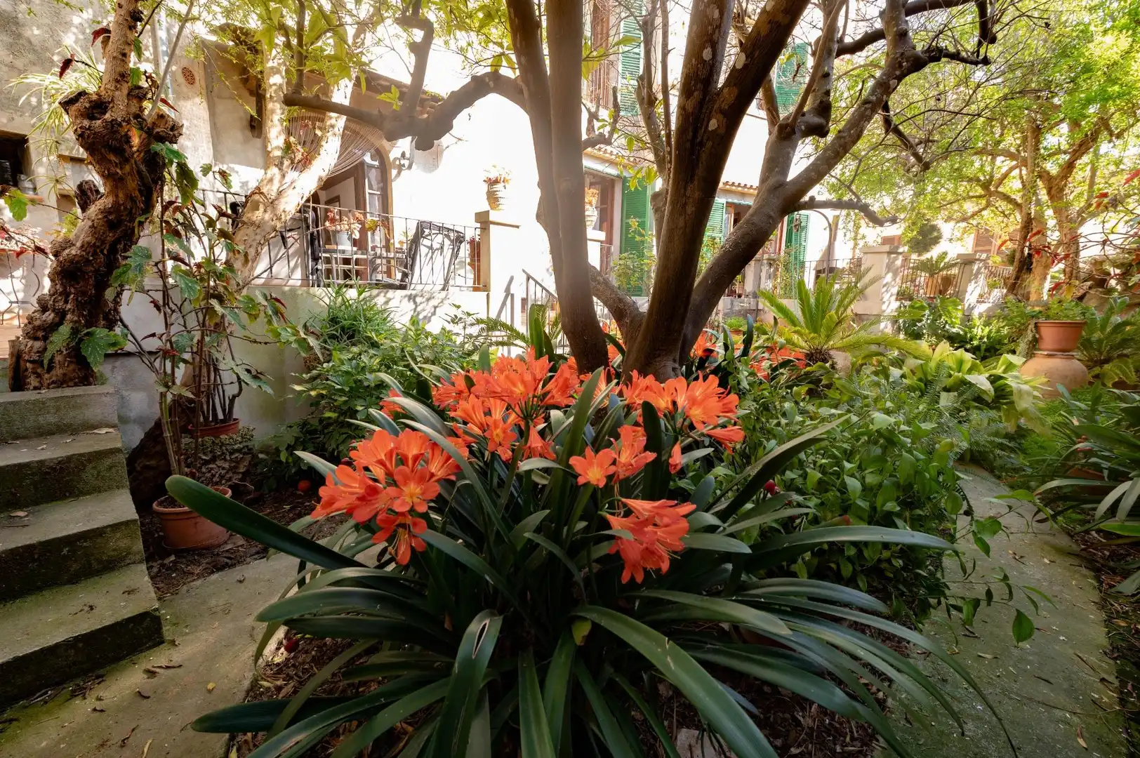 Casa con terraza en venta en Sineu, imagen 12