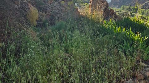 Finca en Bayarque ( Almería)., immagine 2